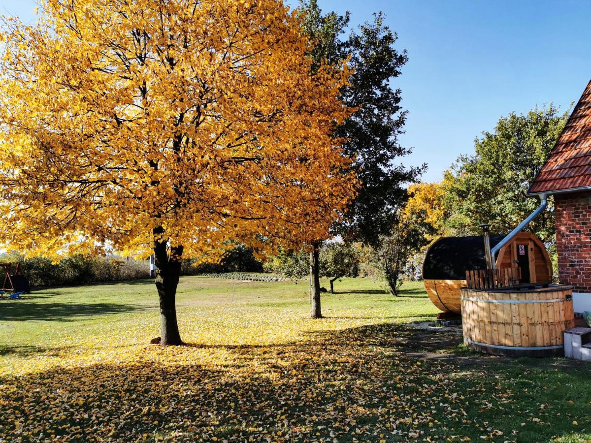 Agroturystyka Ginkgo Sulislaw  ภายนอก รูปภาพ