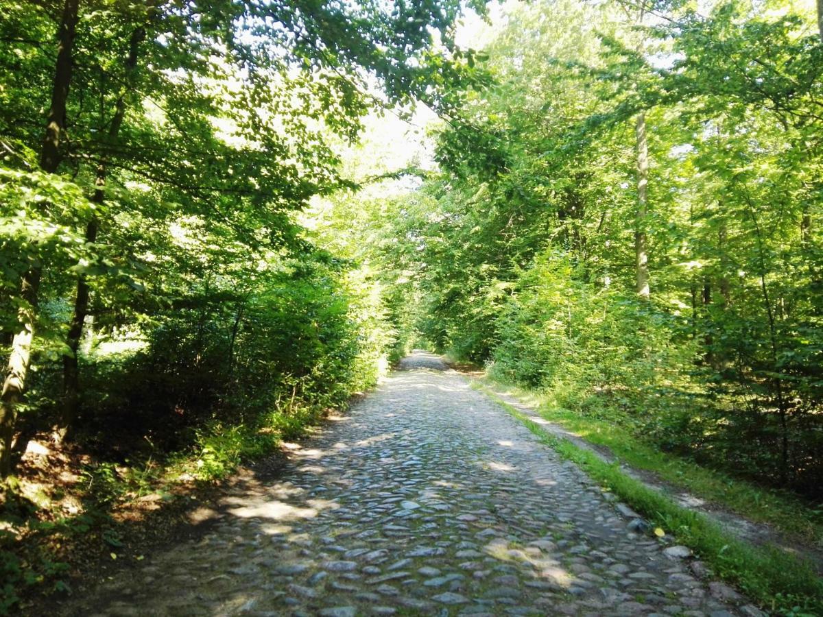 Agroturystyka Ginkgo Sulislaw  ภายนอก รูปภาพ